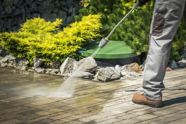 Best Solar Panel Cleaning  in Maple Heights, OH