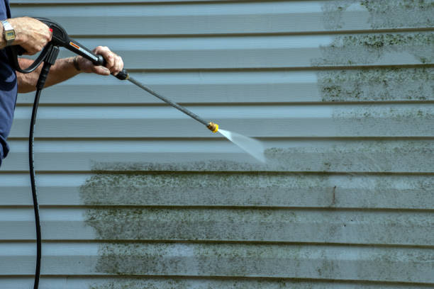 Best Driveway Pressure Washing  in Maple Heights, OH